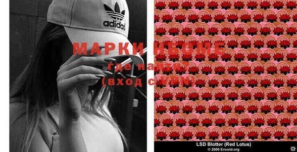 кокс Магас