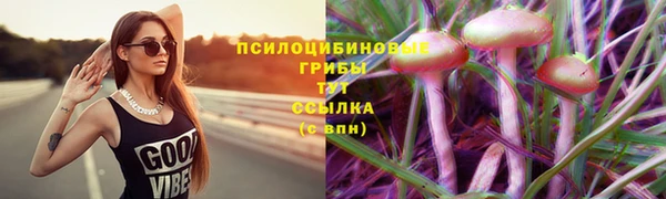 прущий лед Дегтярск