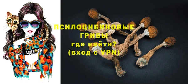 прущие крисы Магадан